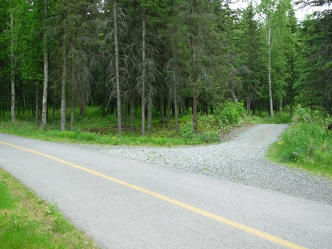 19 (Old Rondy Trail)