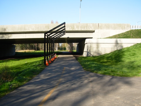 20 (Martin Luther King Jr Ave)