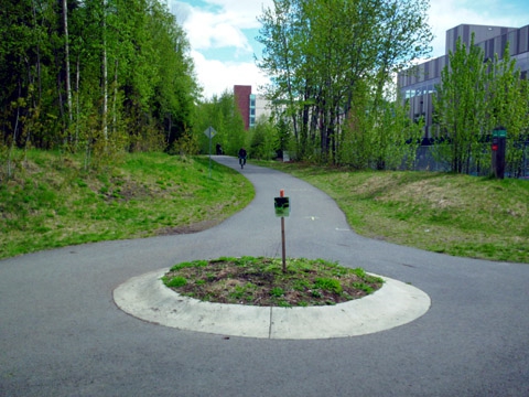 26 (Chester Creek Trail)