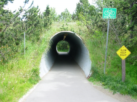 5 (Walter J. Hickel Pkwy)